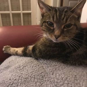 Meet your Posher, Joanna